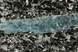Blue Kyanite & Garnet in Biotite-Quartz Schist - Russia #191723-1